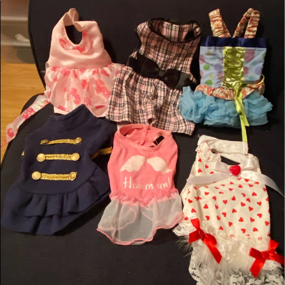 Dog clothes